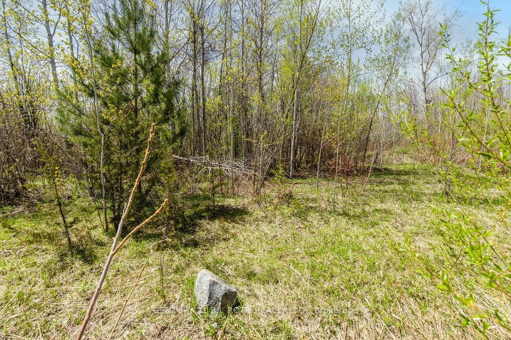 15 Quarry Road photo 24