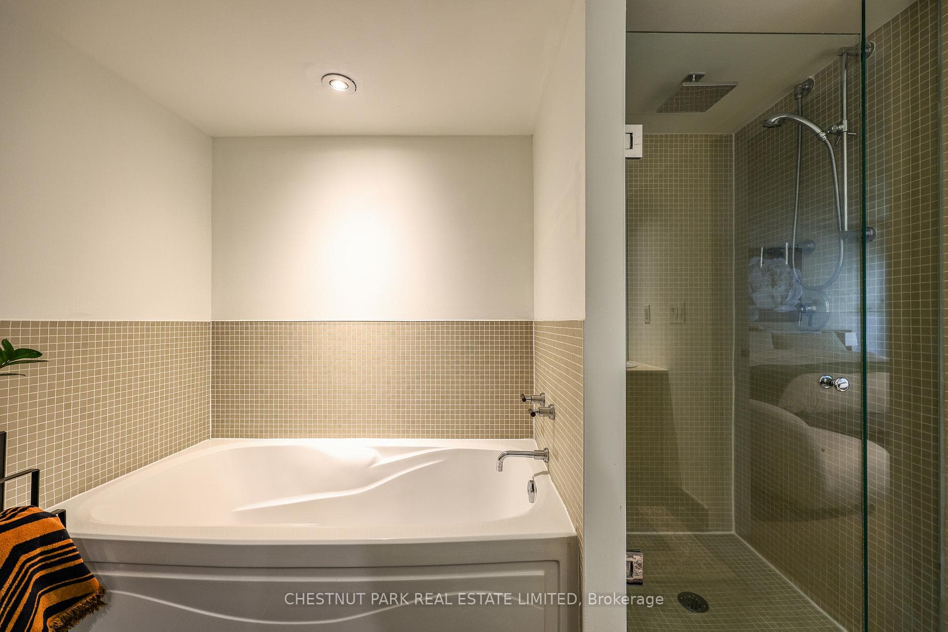 271 Mutual Street photo 17