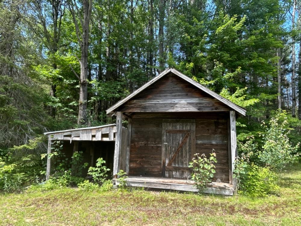Old wood and storage shed