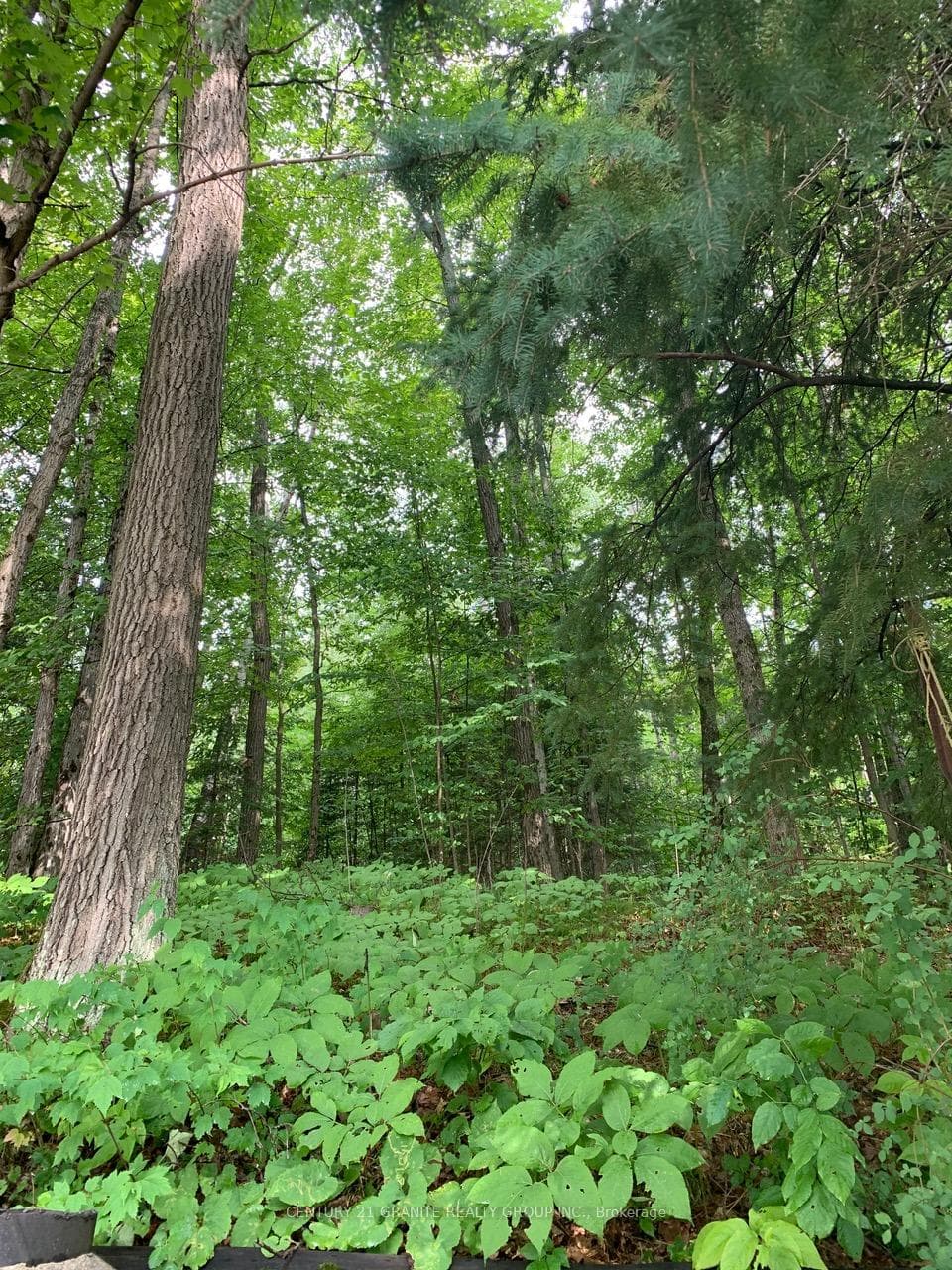198 Gaebel Road photo 3