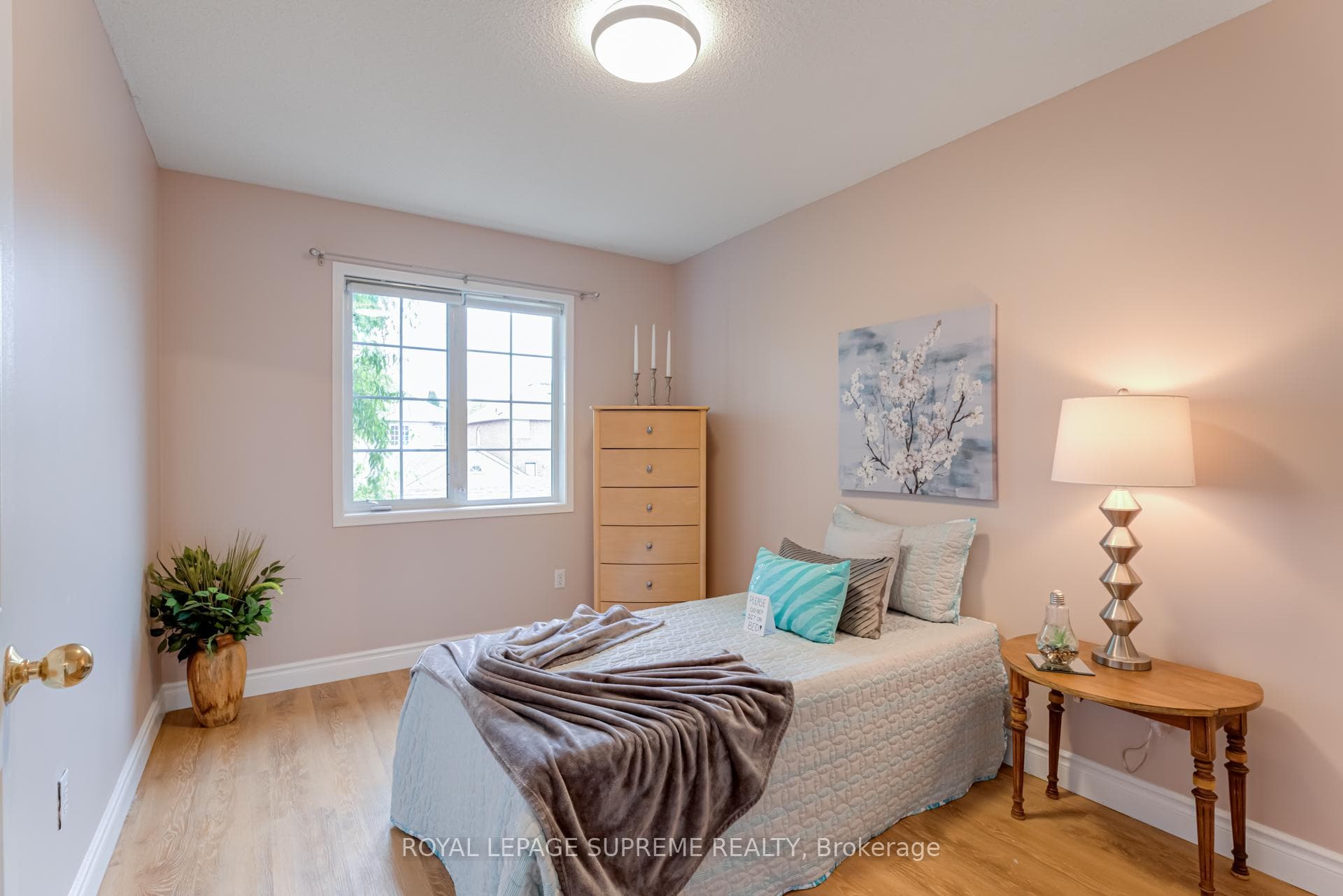 572 Napa Valley Avenue photo 23