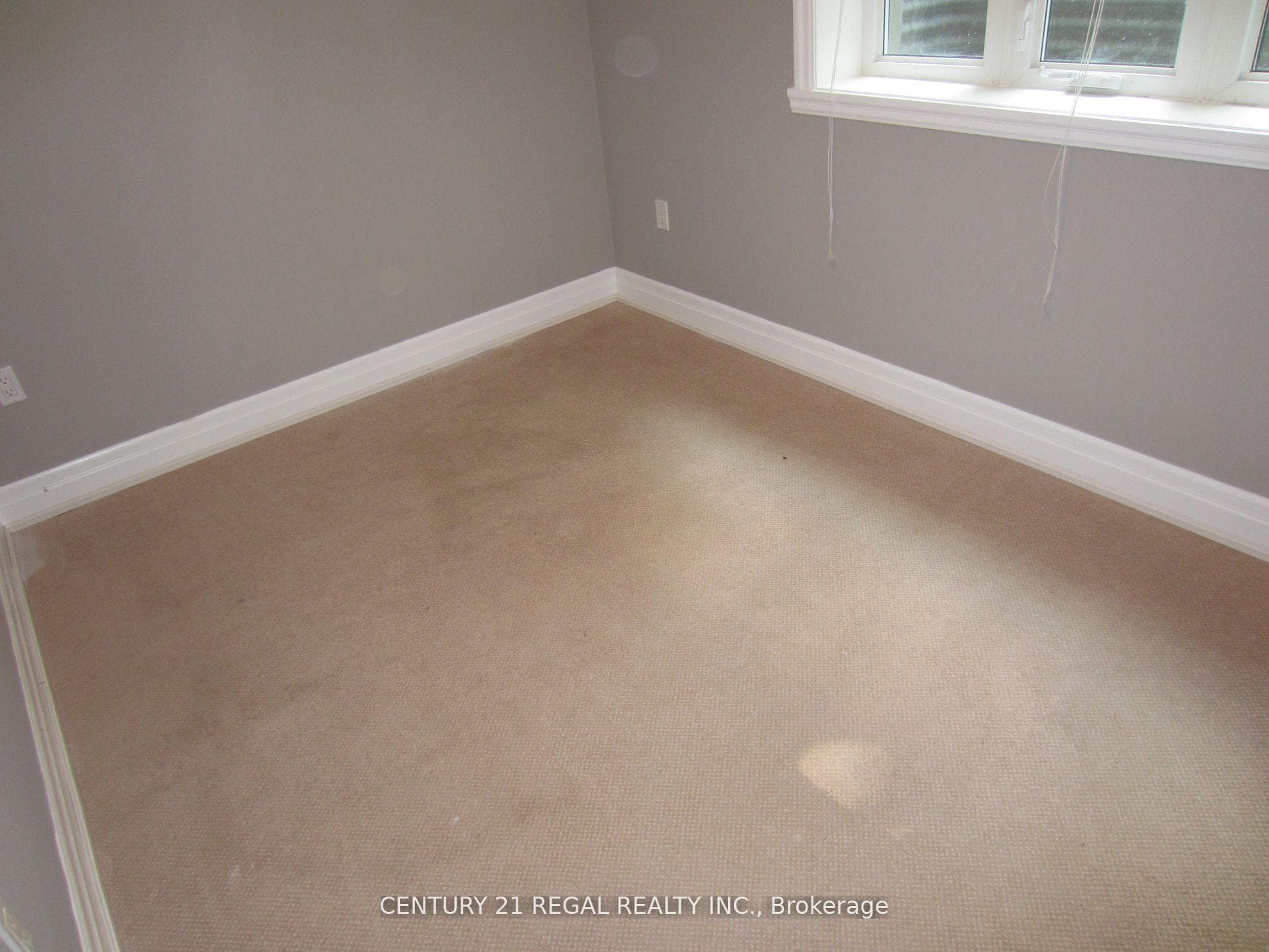 1361 Lochlin Trail Unit bsmt photo 4