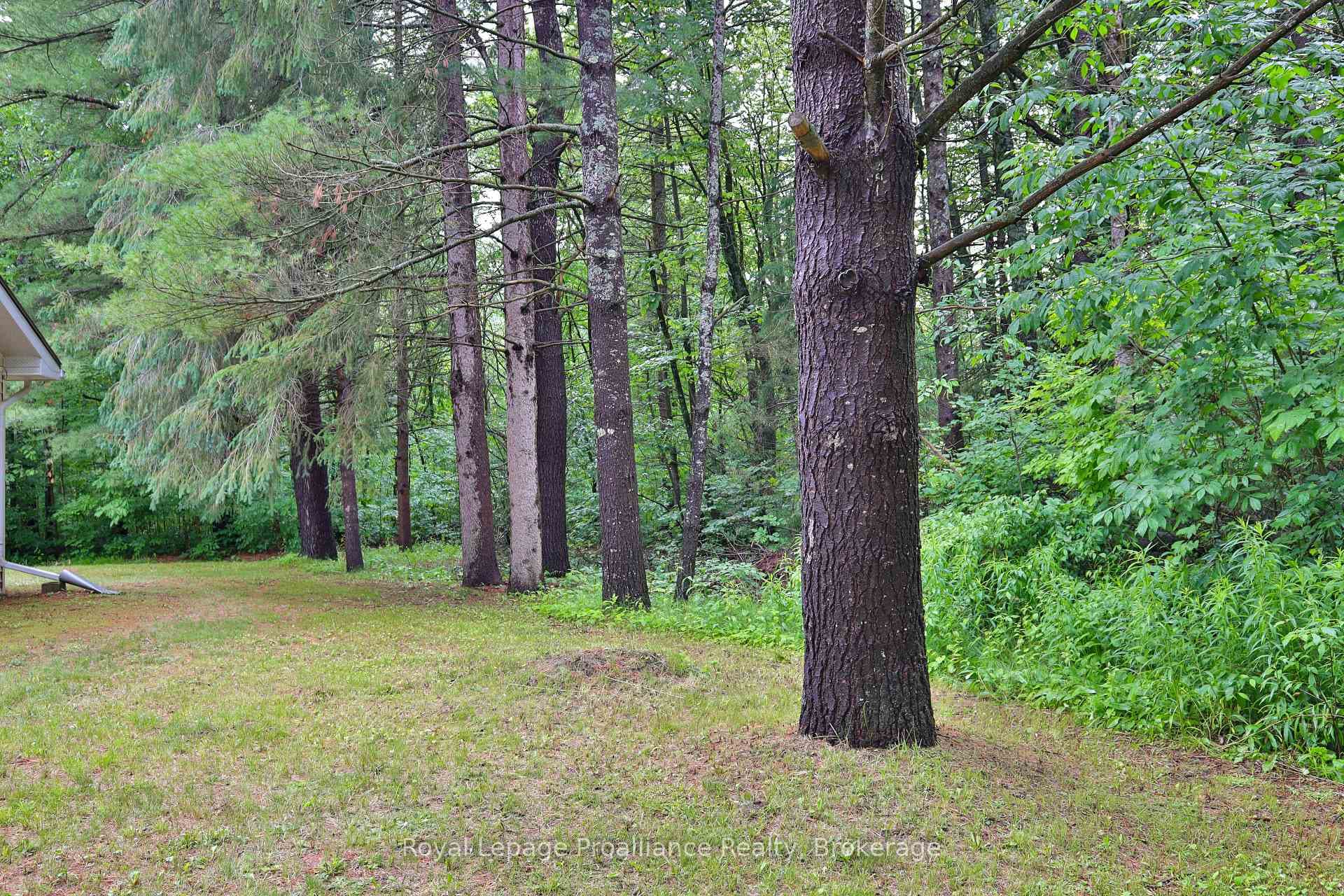 5001 Stirling-Marmora Road photo 50