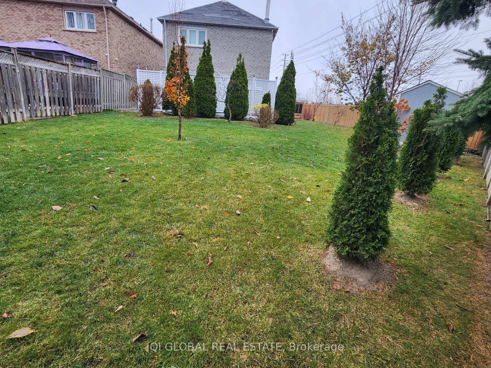 91 Joycedale Street photo 27