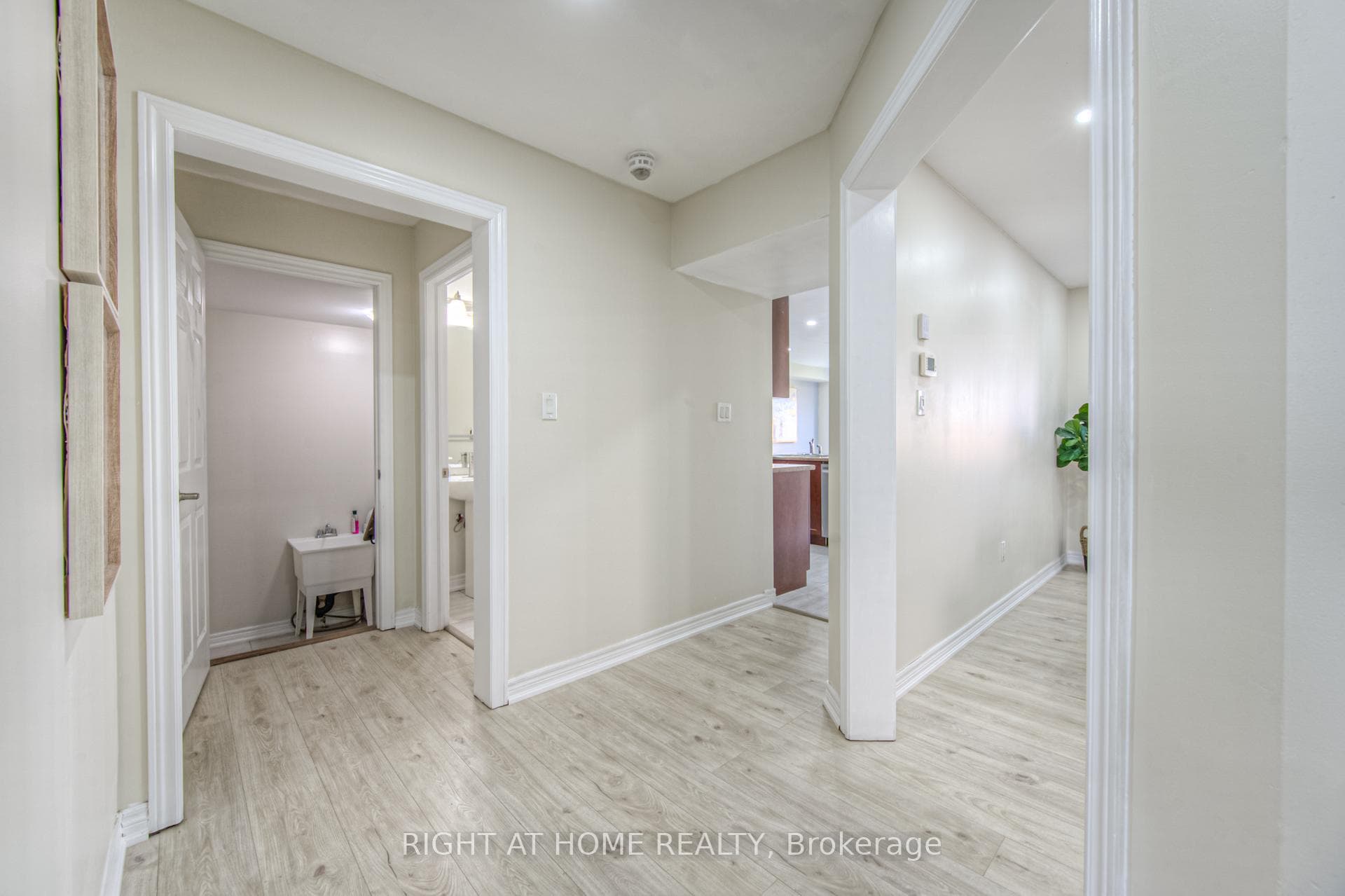 47 Mullholland Avenue photo 5