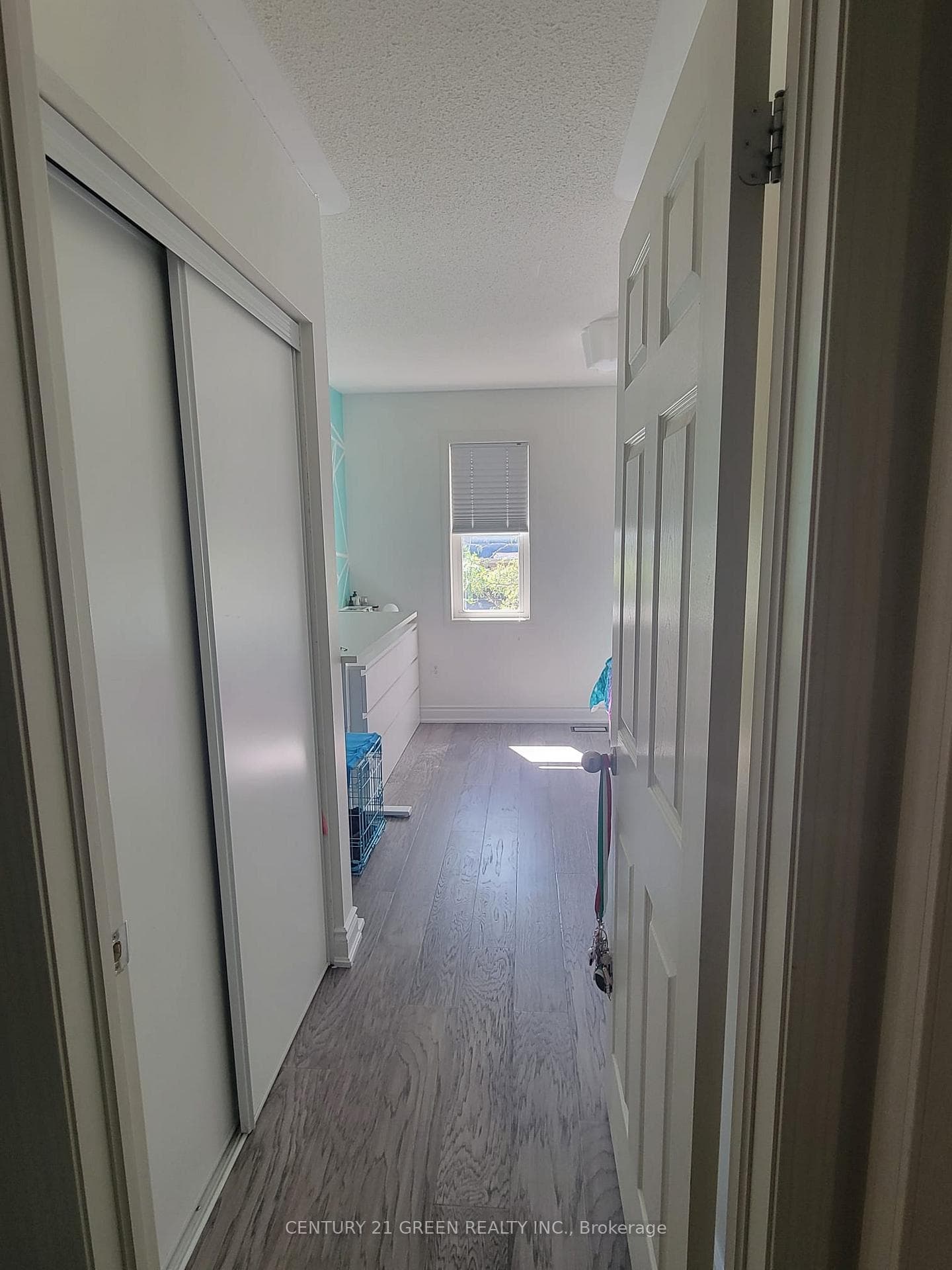 21 Mortimer Drive photo 17