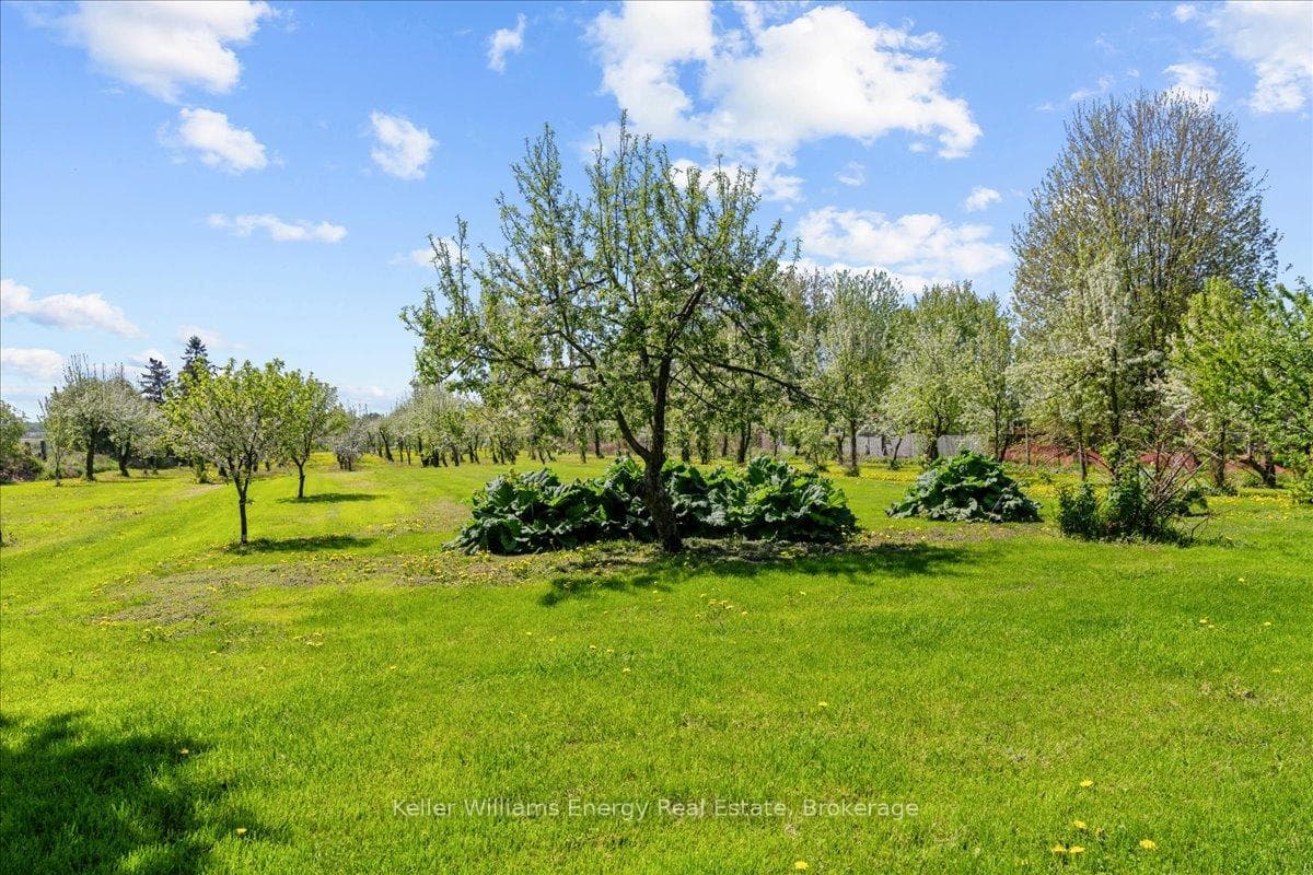 2263 Hwy 2 N/A photo 14