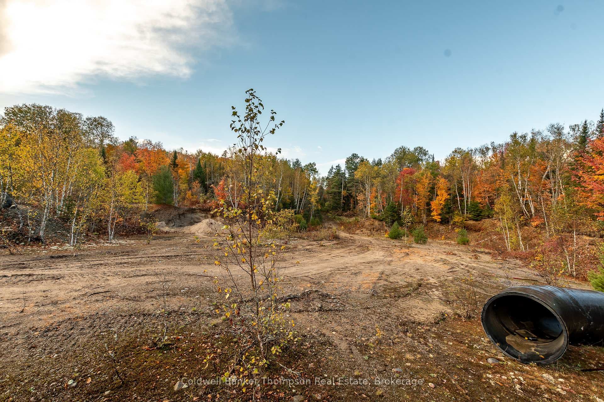 Lot 1 Emsdale Lake Road photo 11