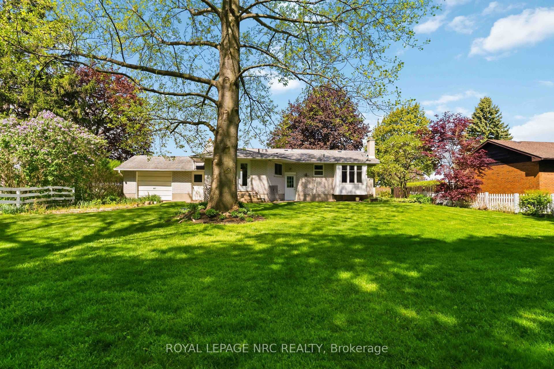 Lovely Back Yard!