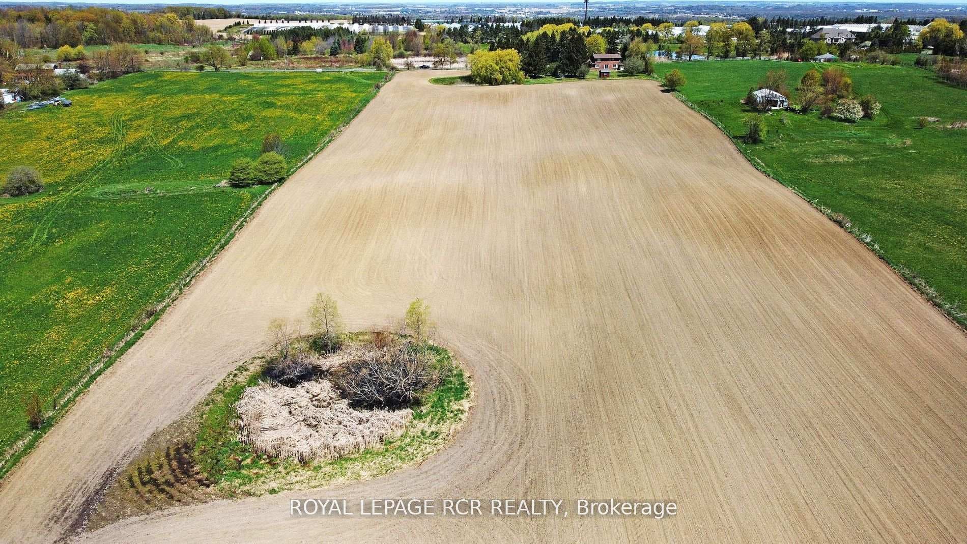 6215 17th Side Road photo 44