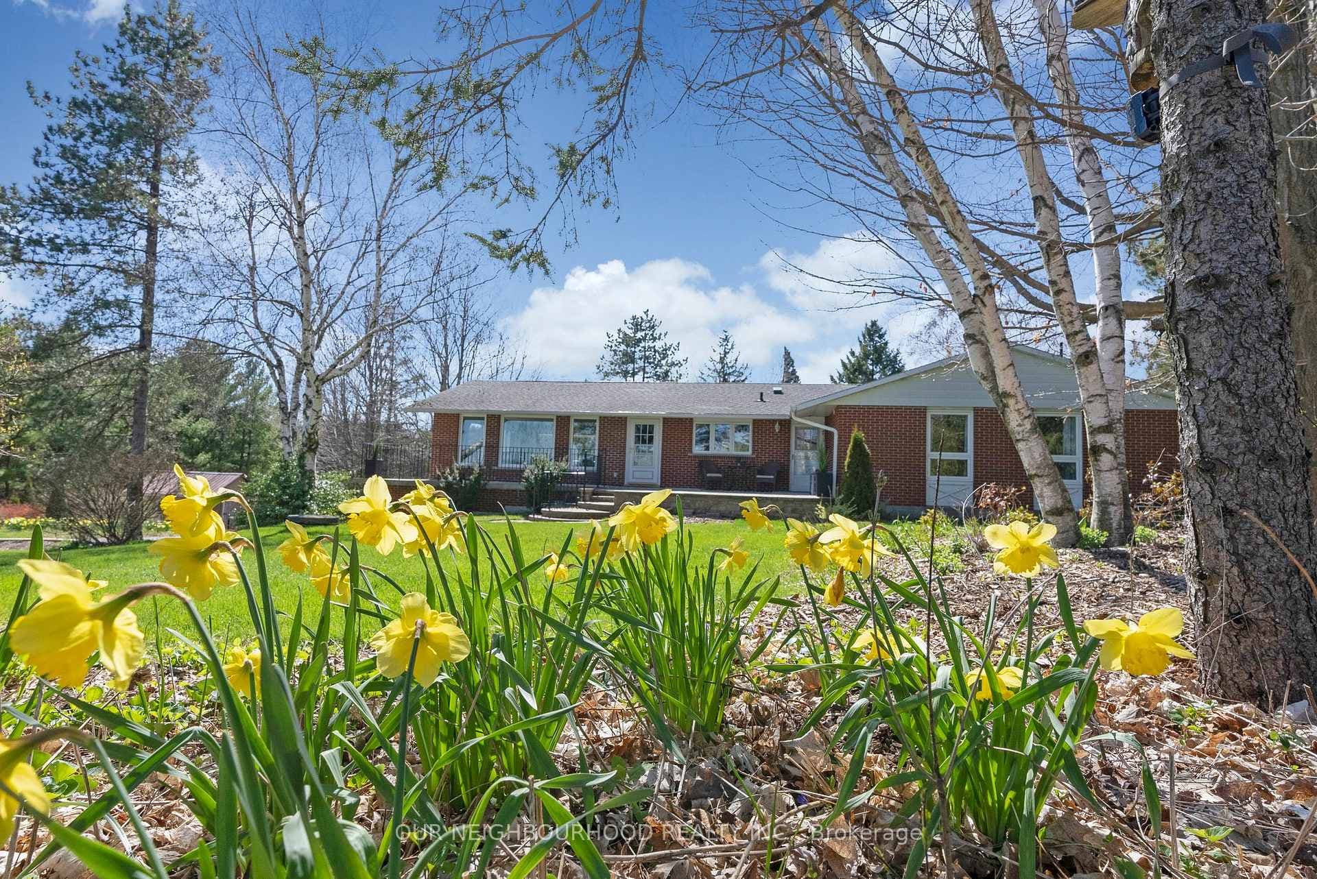 4582 Walsh Road photo 2
