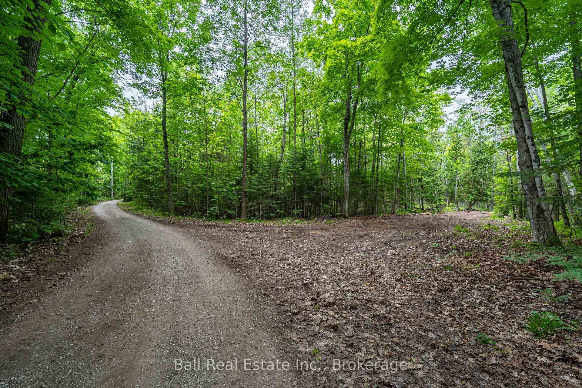 0 Mill Line Road photo 10