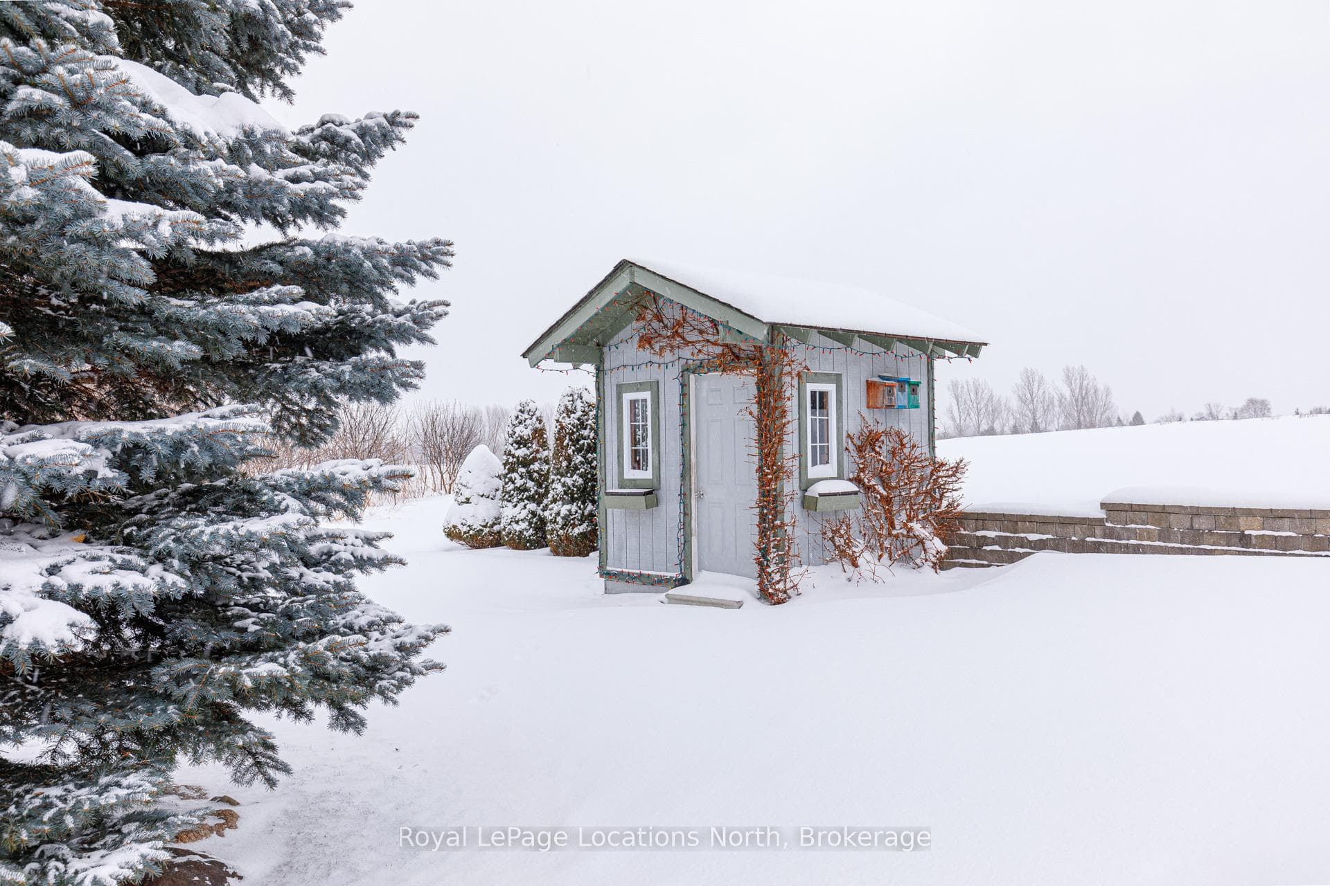 56 Thomas Drive photo 28