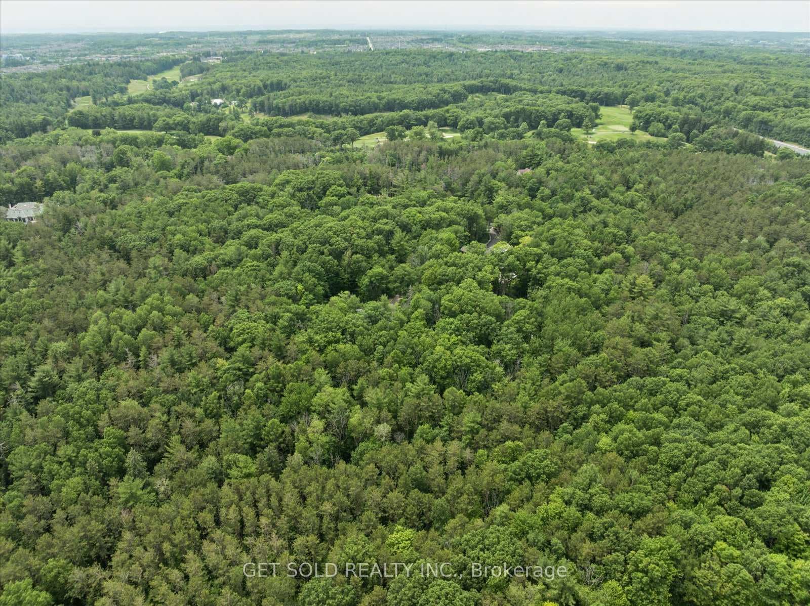 80 White Pine Trail photo 26