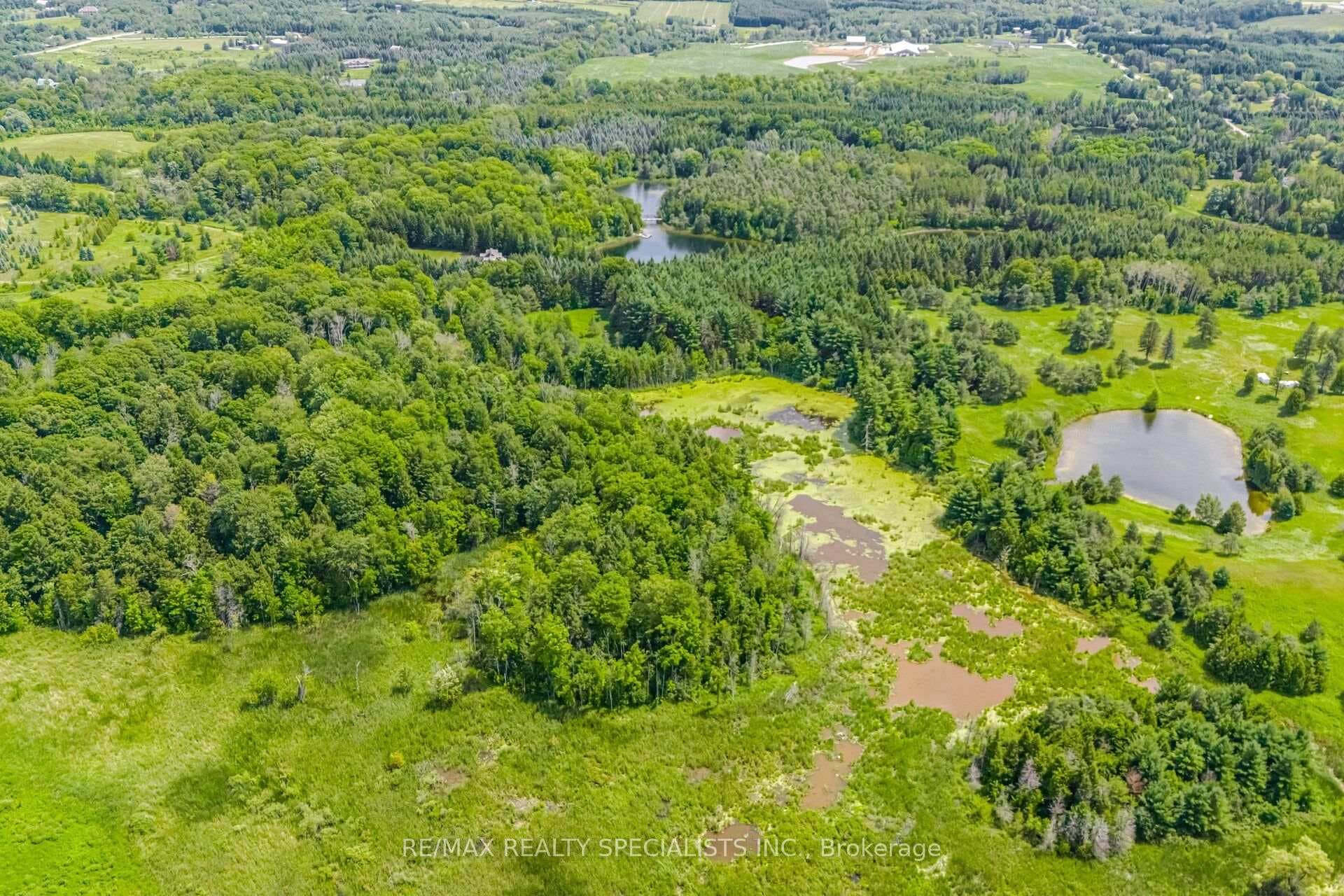 15441 Mount Pleasant Road photo 9