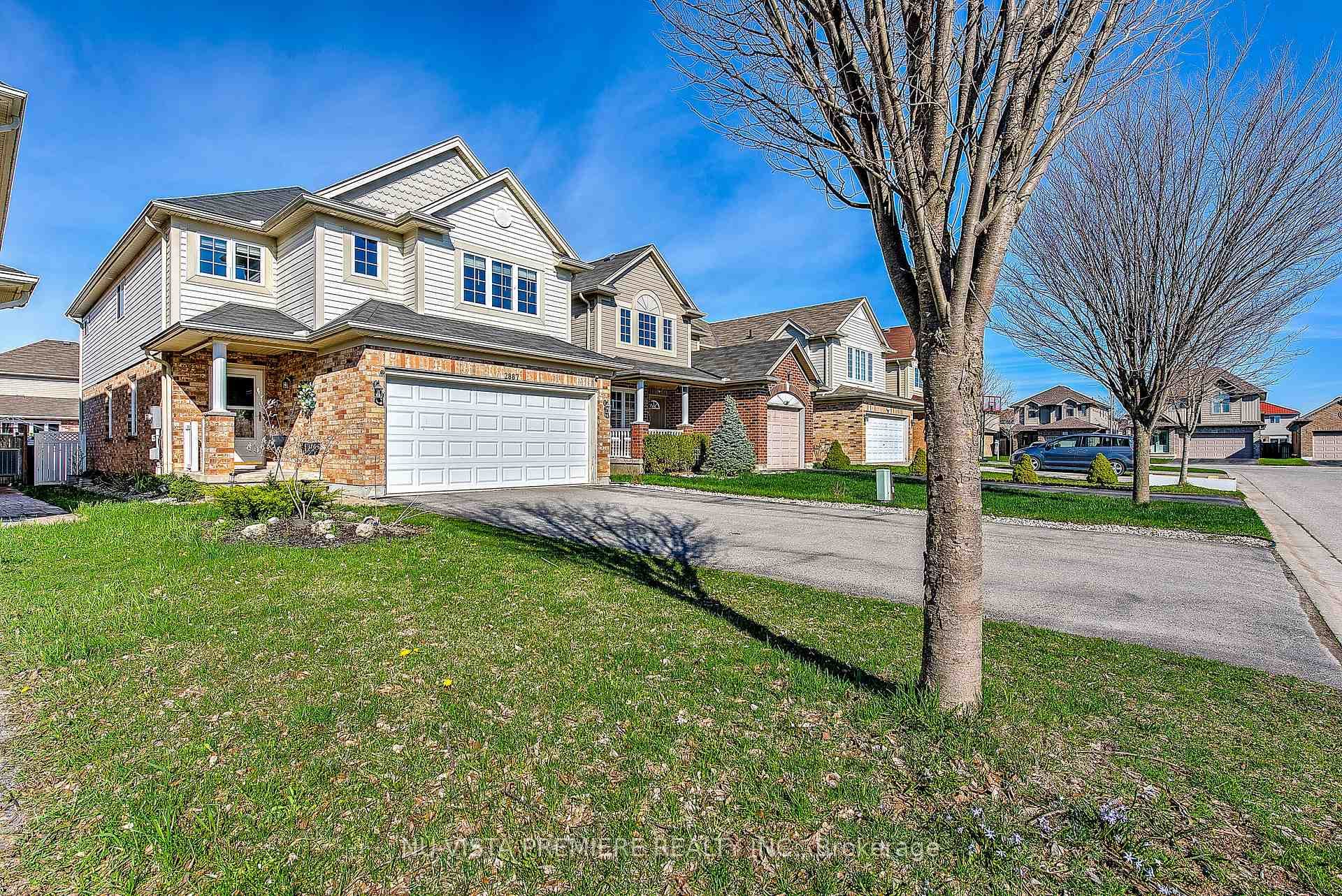 2887 PAULKANE Chase photo 2