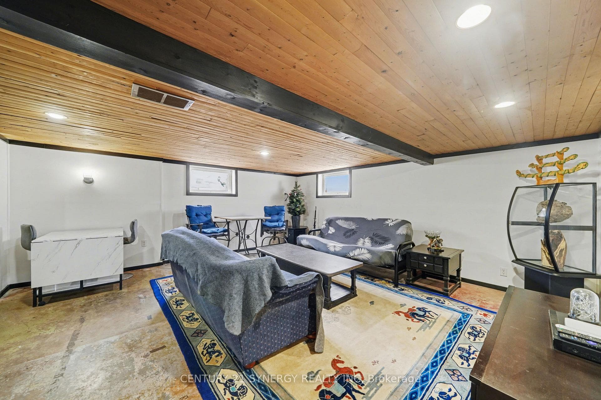 Rec Room Lower Level