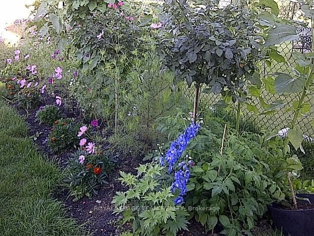 Thoughtfully landscaped with care.