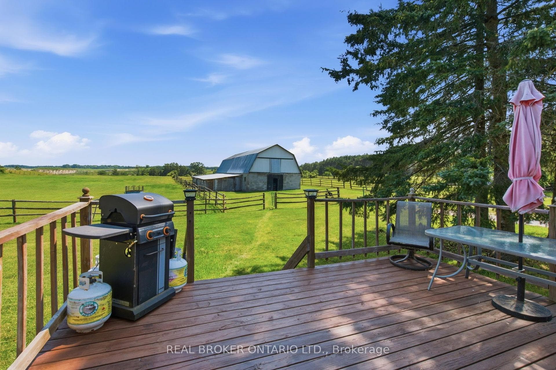 785 Reid Road photo 14