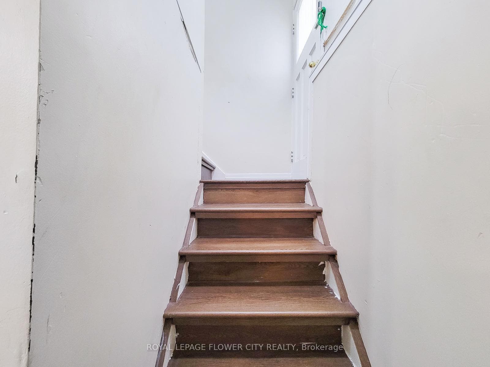 823 Queensdale Avenue photo 24