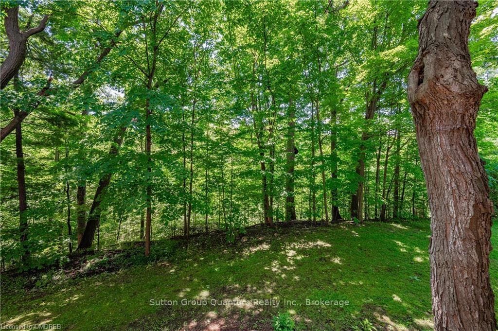 1250 MARLBOROUGH Court Unit 1 photo 10