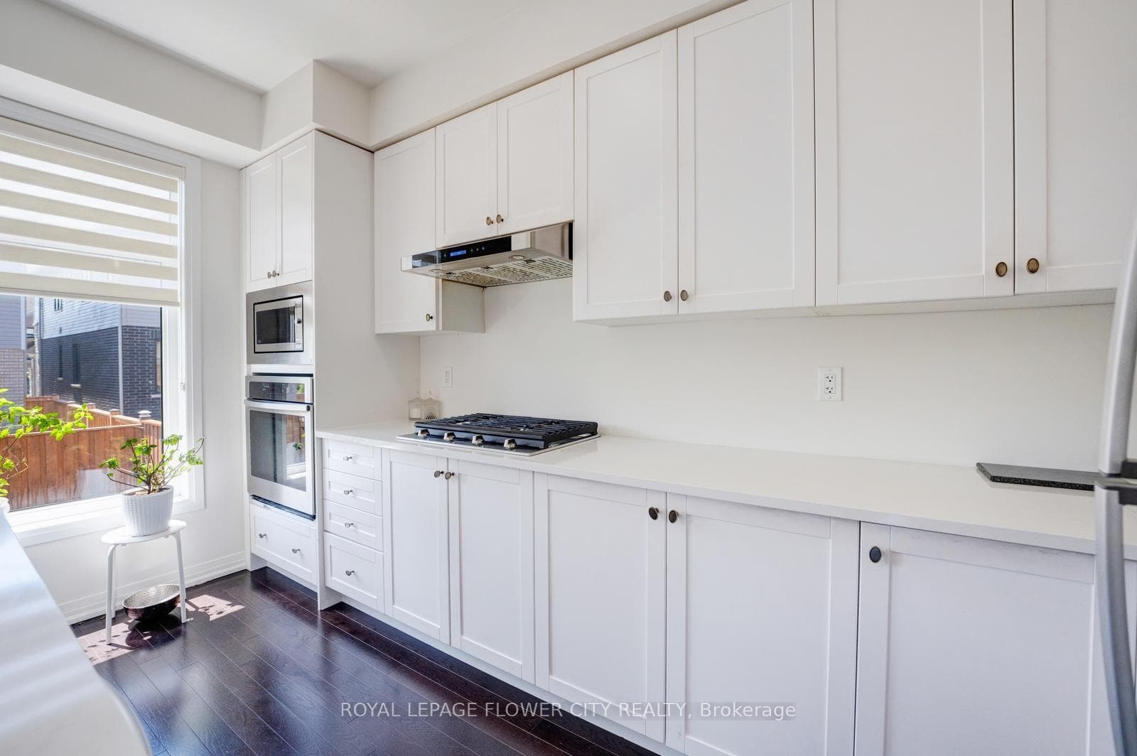 44 Weylie Street photo 23
