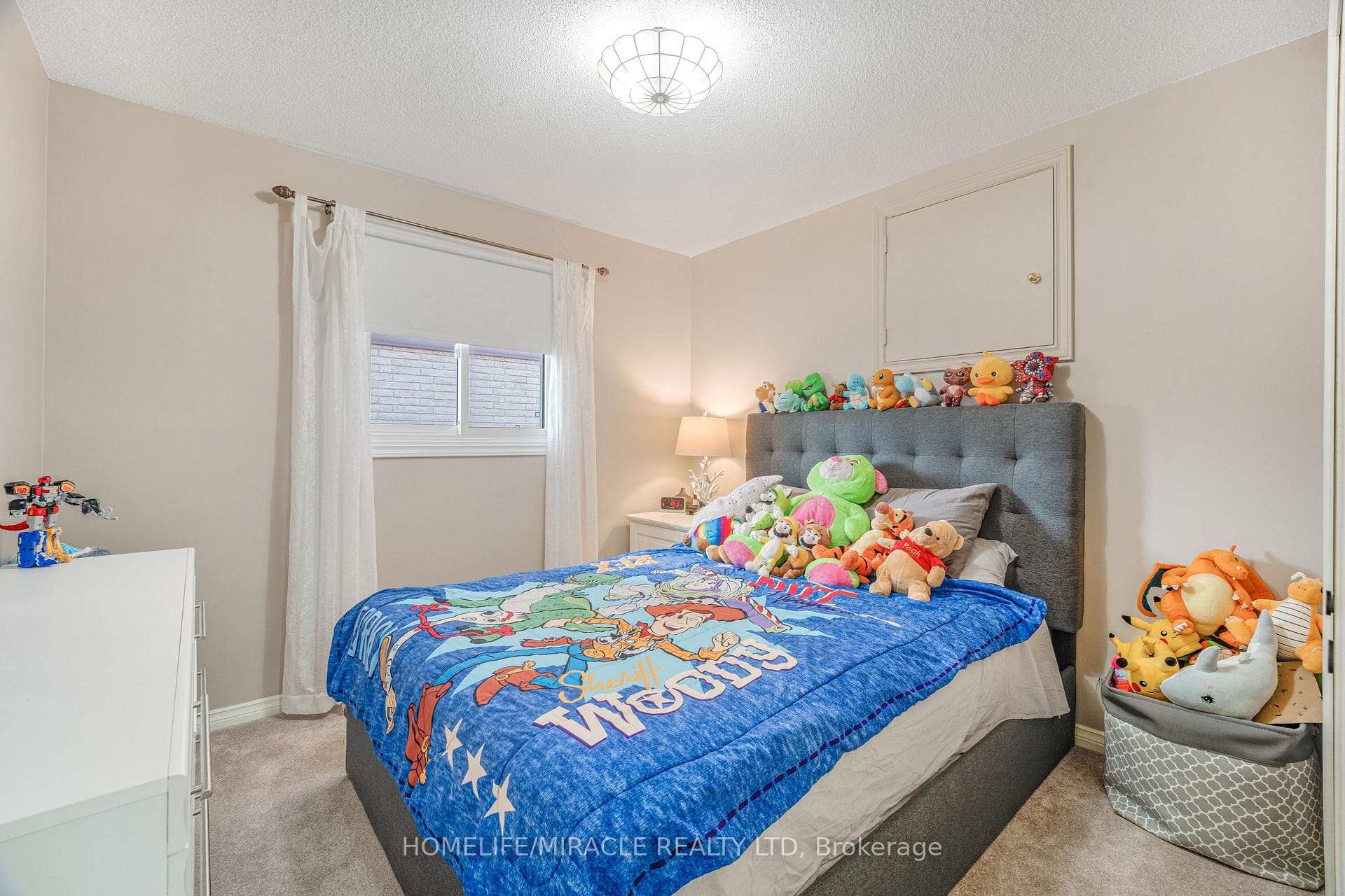 23 Millpond Place photo 27
