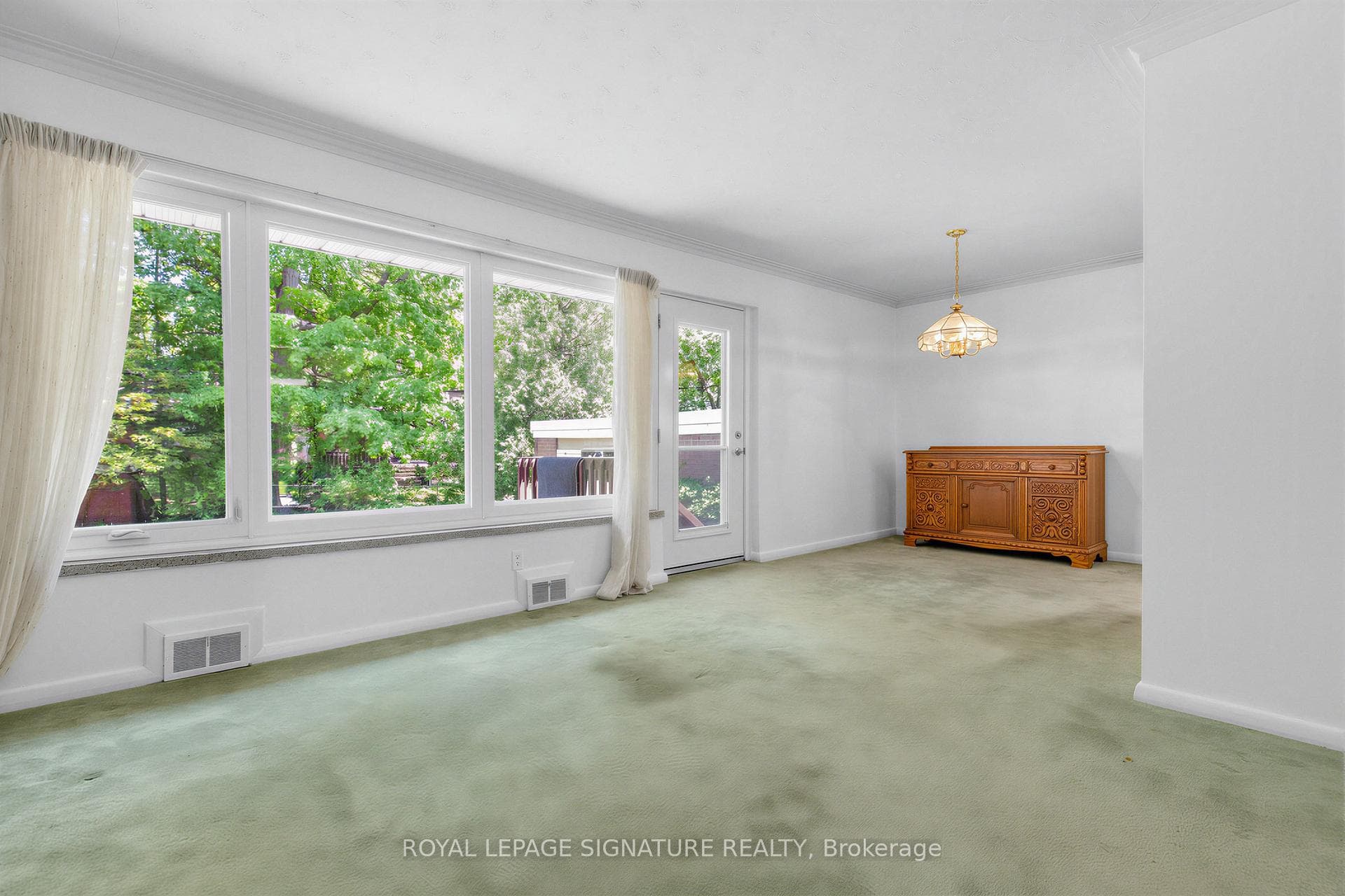 Blank Canvas (existing LR/DR)