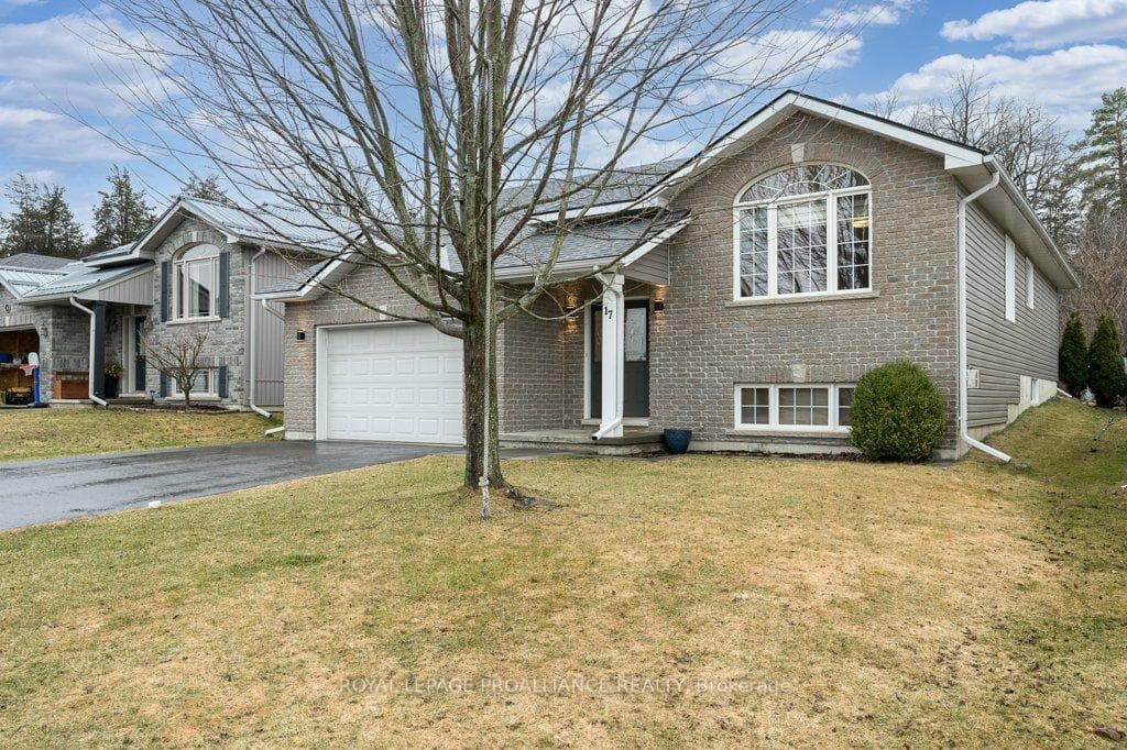 17 Kyle Court photo 50