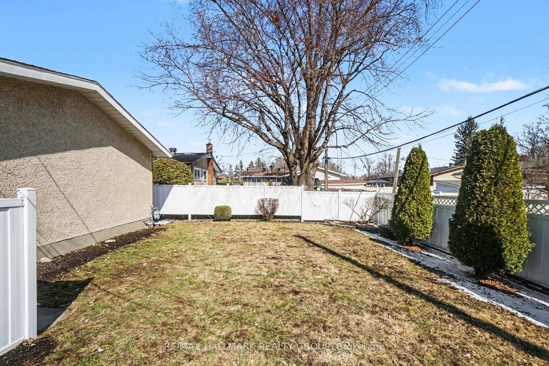 South facing yard