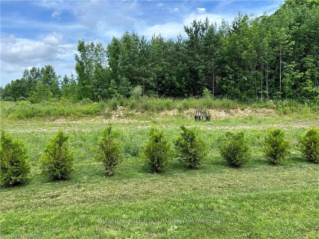 View from the living room or back porch