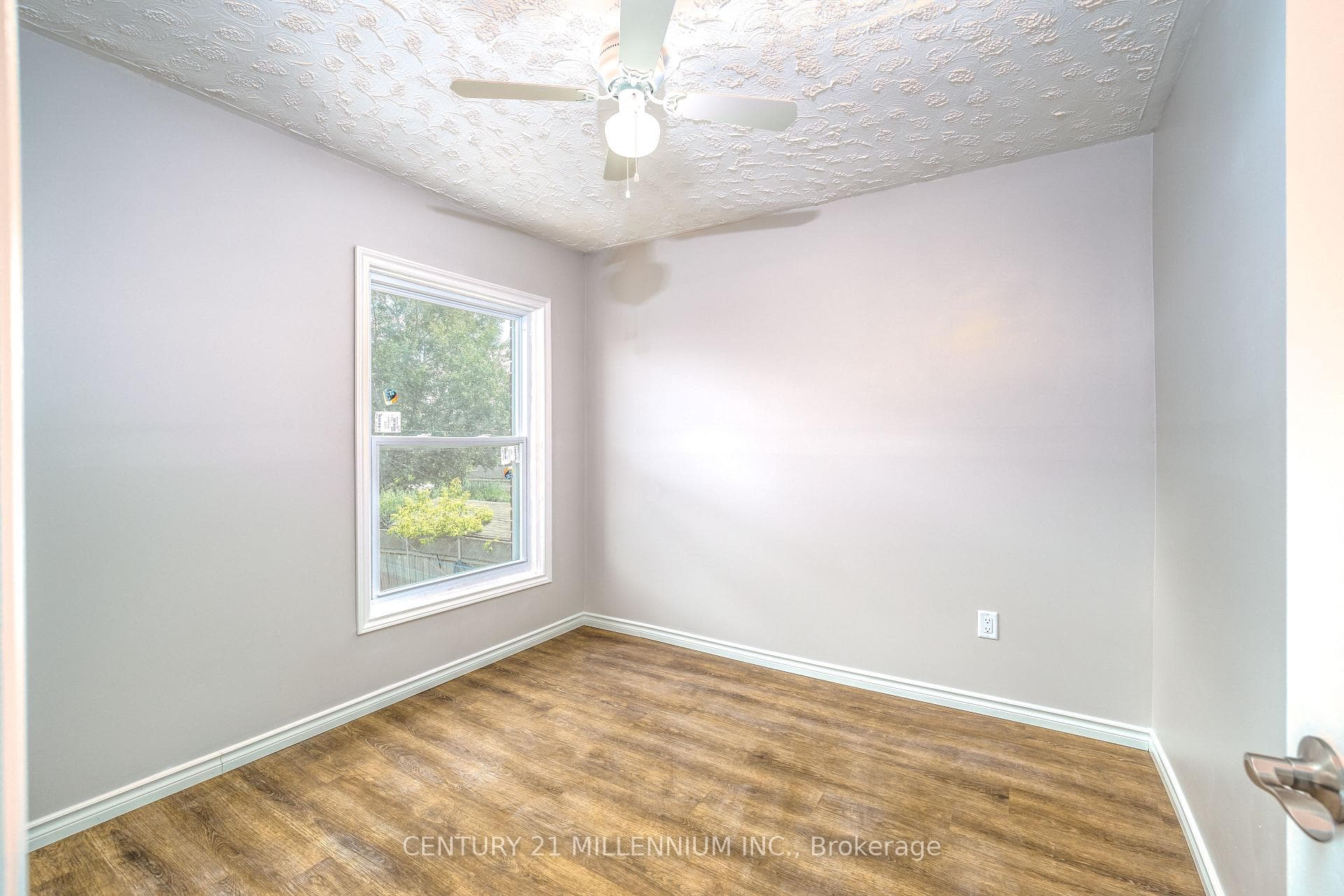 242 Balmoral Avenue photo 20
