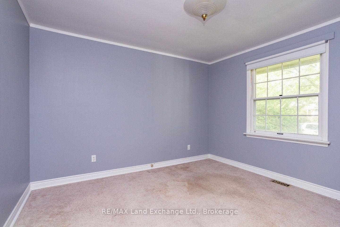 257 Kingsway Street photo 34