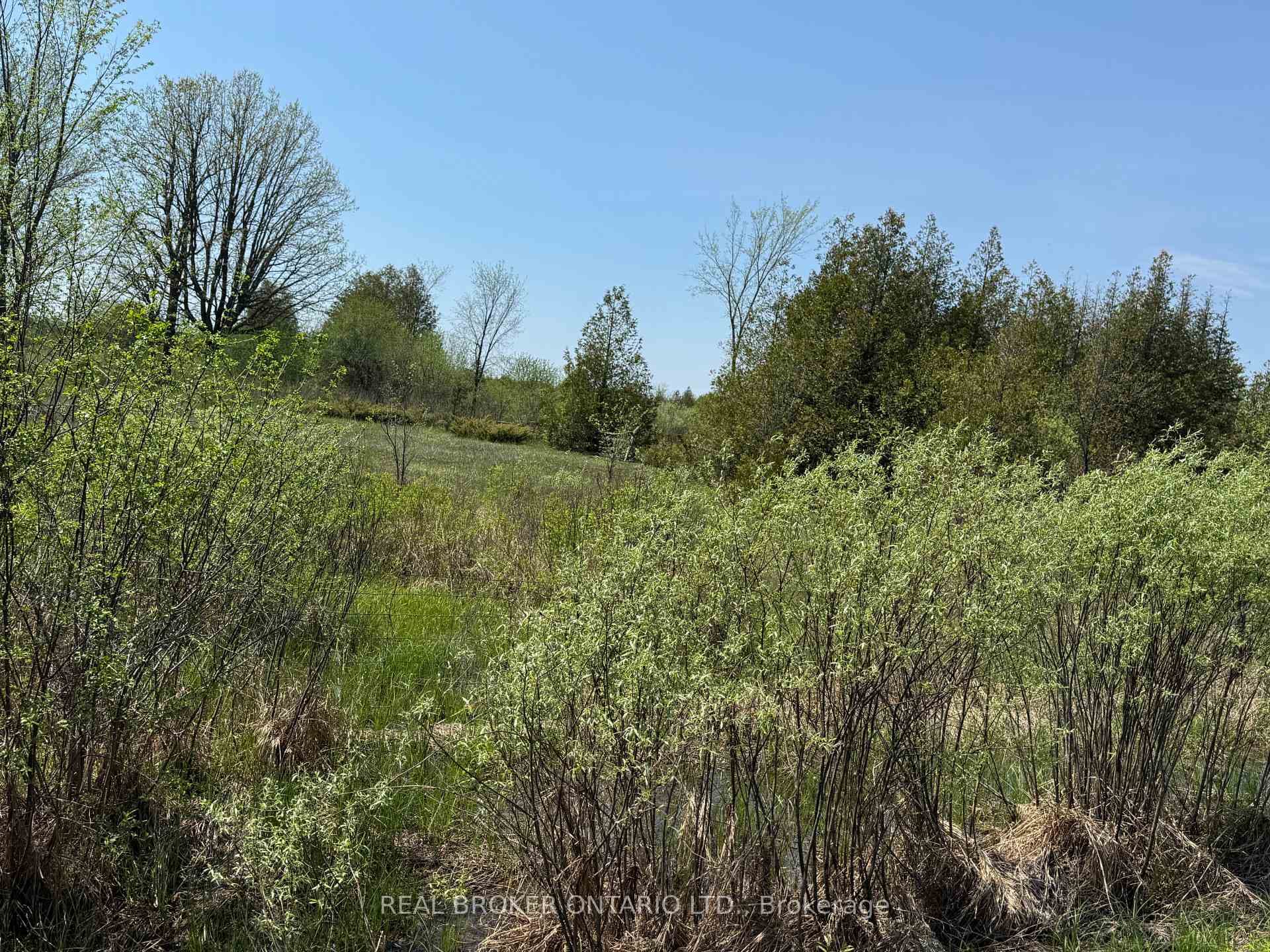 00 WILLIAM CAMPBELL Road photo 6
