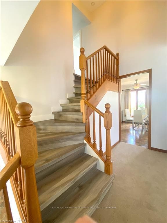 23 MOORE Avenue photo 17