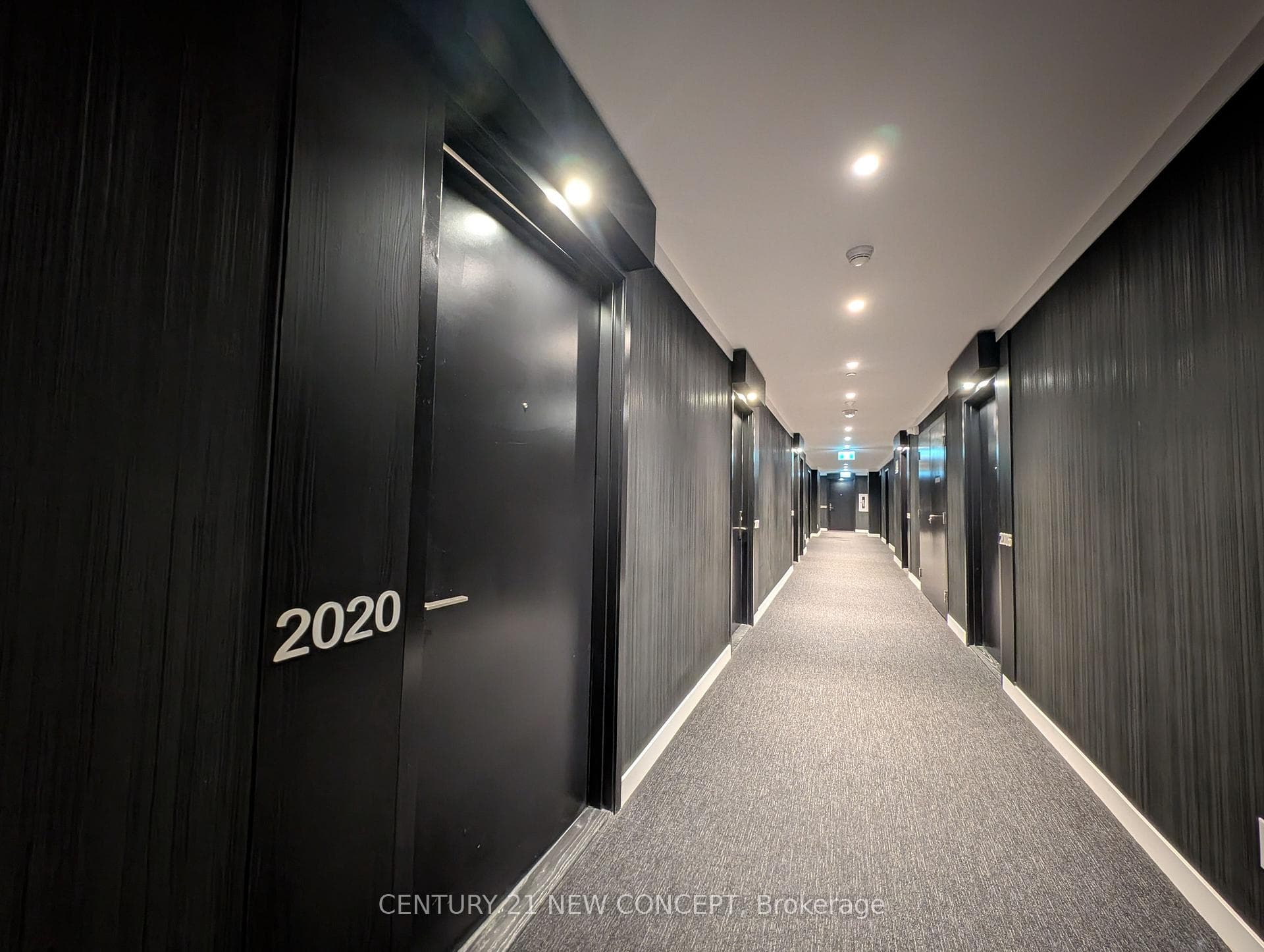 20 Edward Street Unit 2020 photo 2