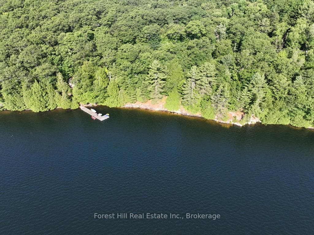 10689 Kawagama Lake WAO N/A photo 12