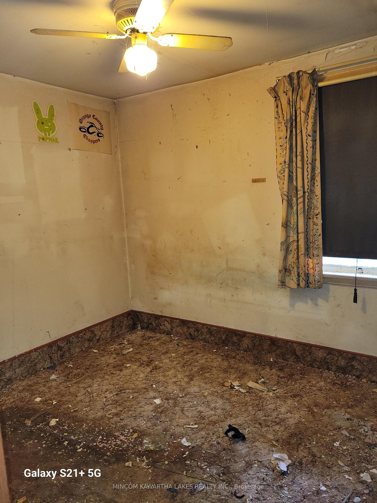 1019 Brewer Street photo 7