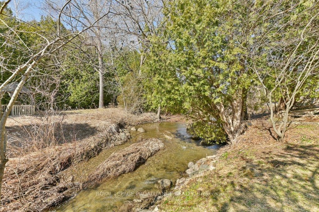 102 Sanford Street photo 40