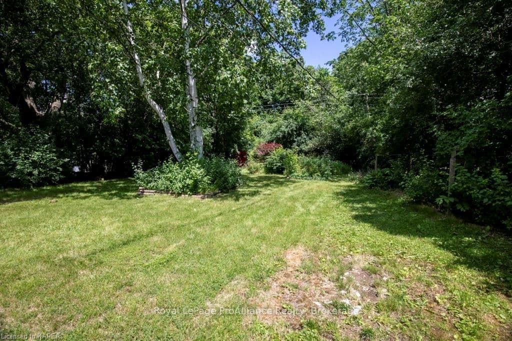 223 YONGE Street photo 38