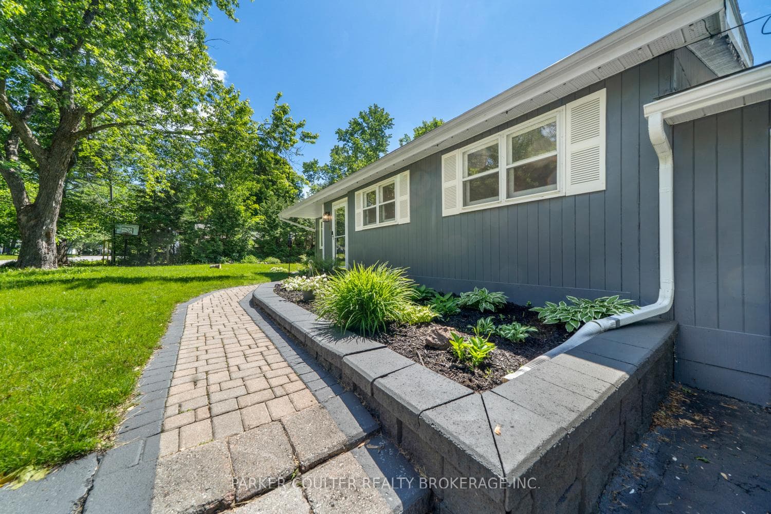 85 Evans Avenue photo 5