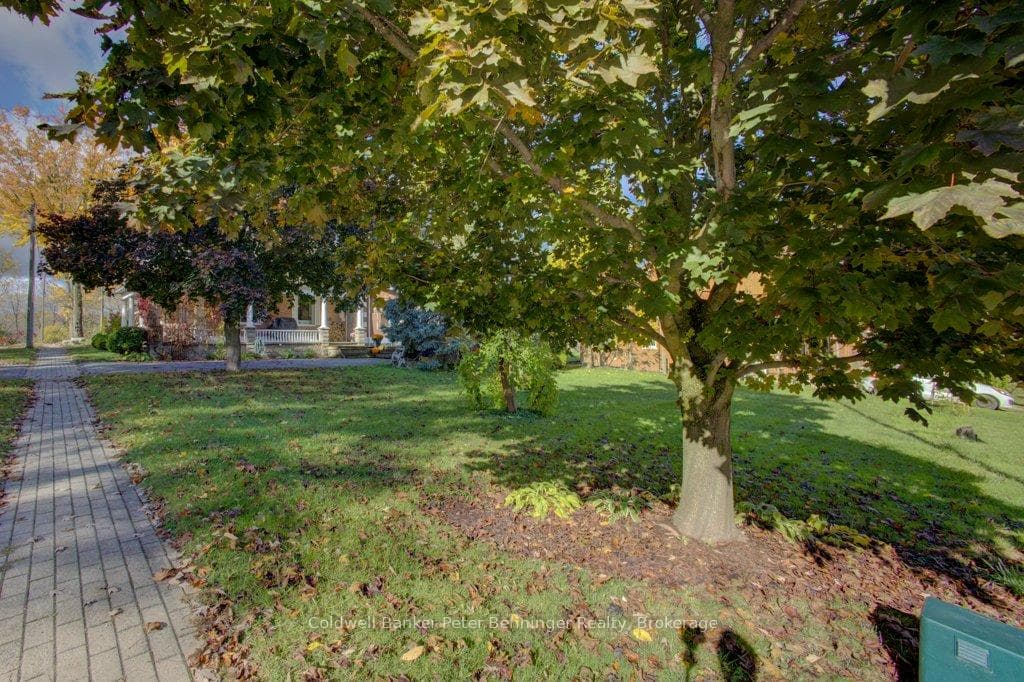 214 Inkerman Street photo 37