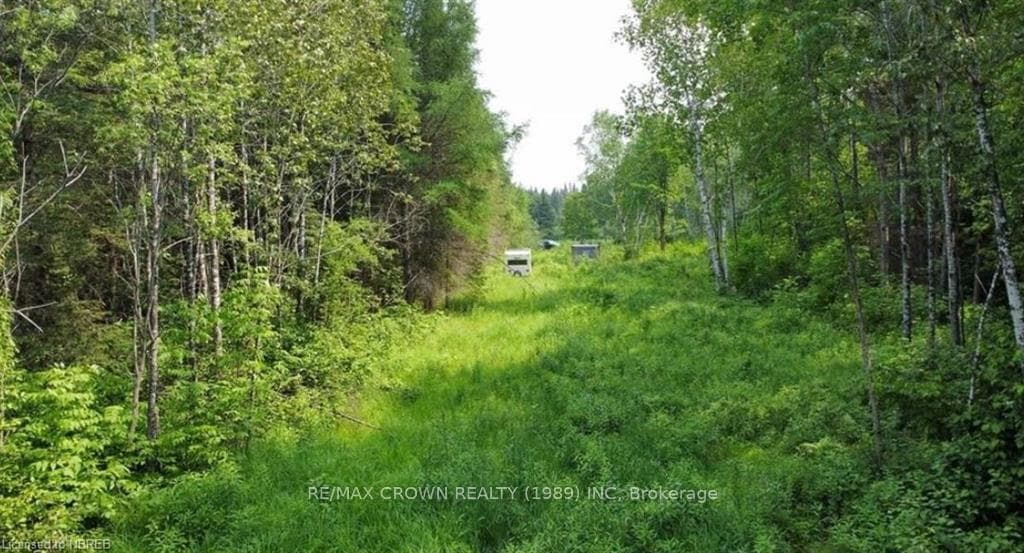 412 MOREAU Road photo 10