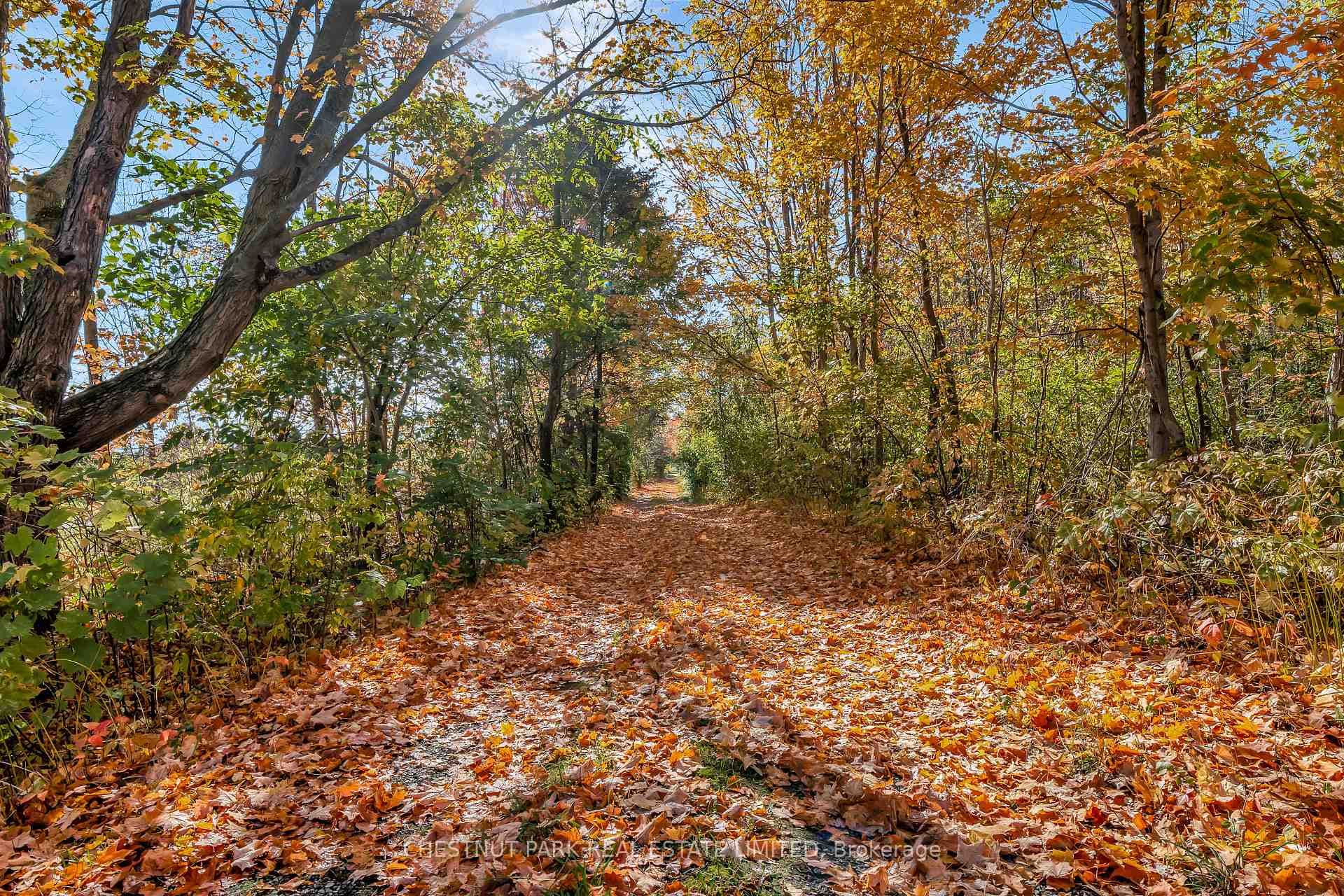 4176 County Road 8 N/A photo 24