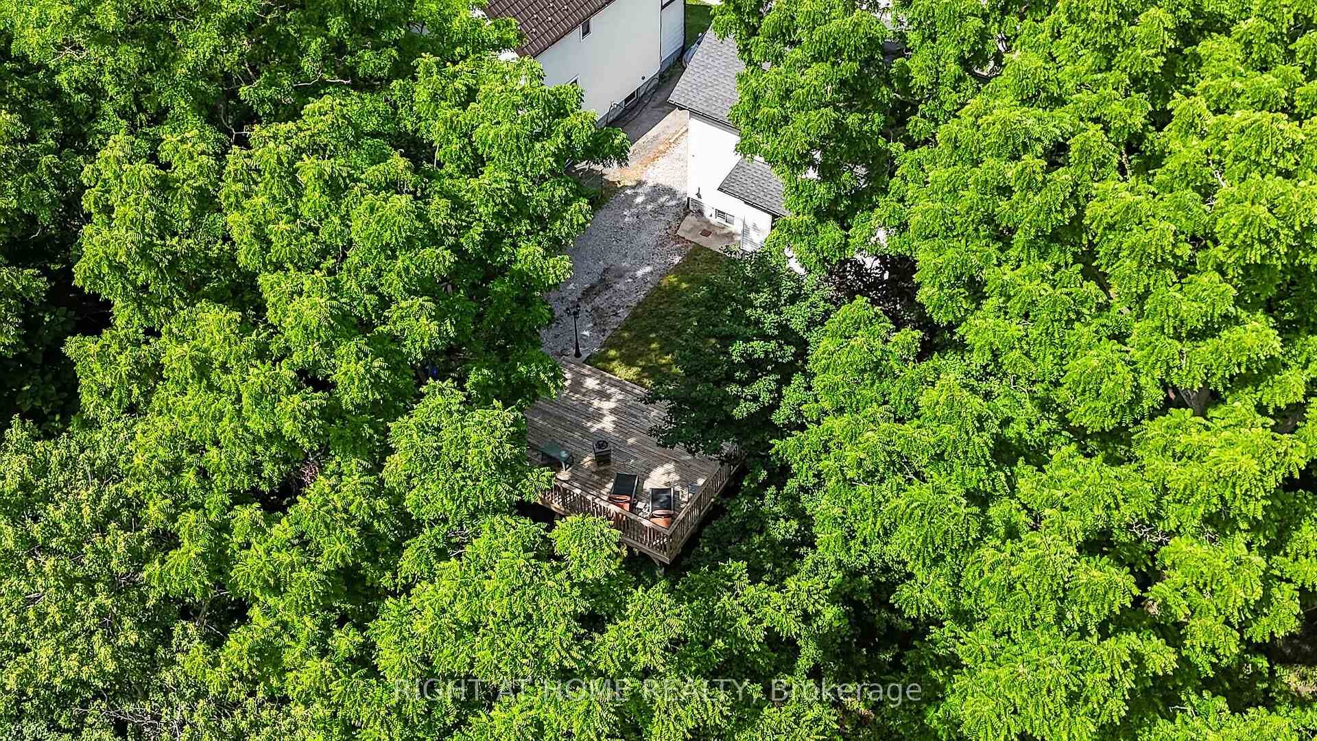 77 Pearl Street photo 41