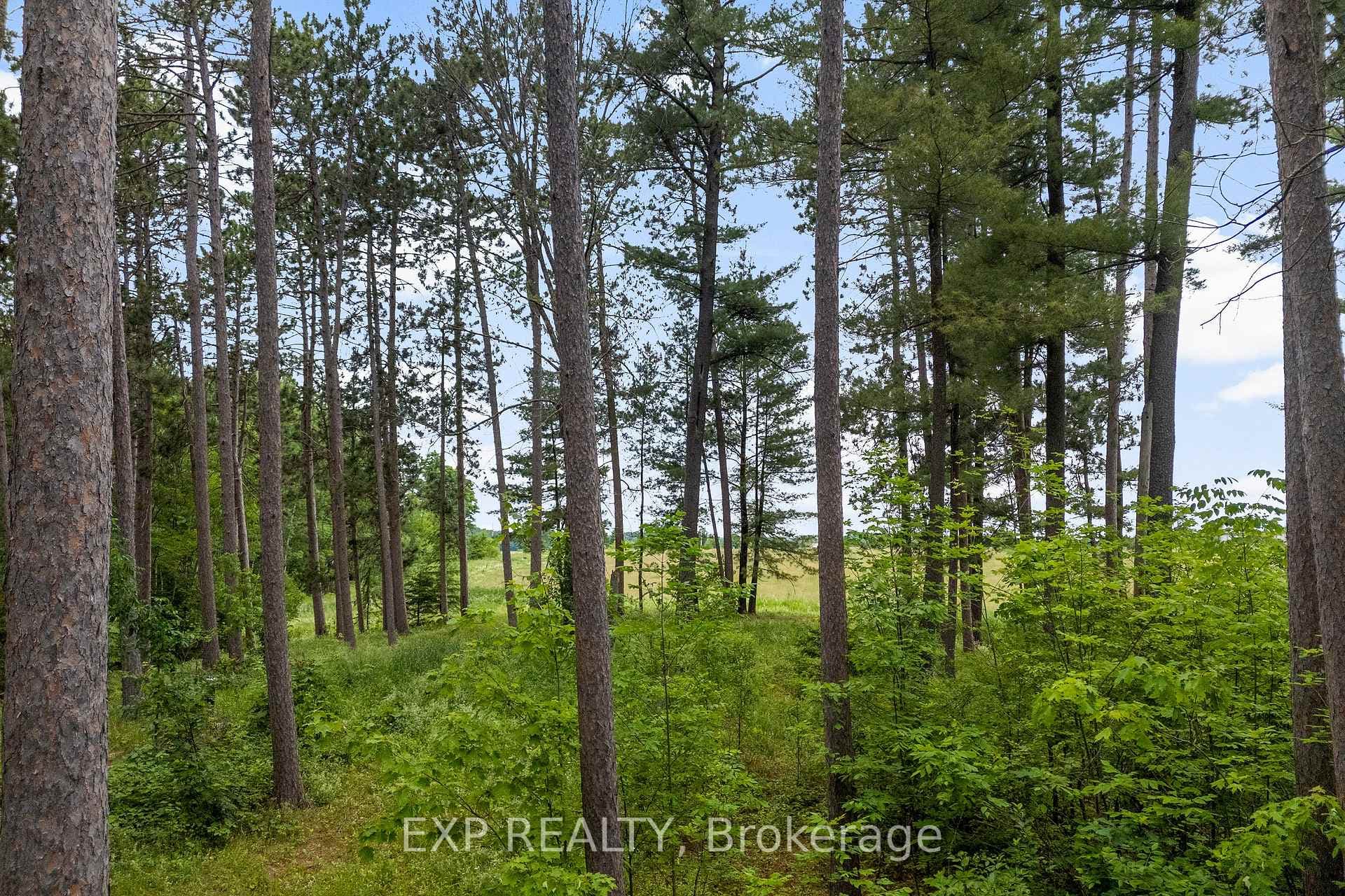 465 Humphries Road photo 13