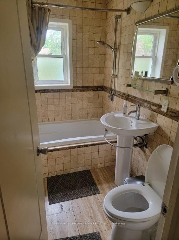 19 shelley Street photo 19