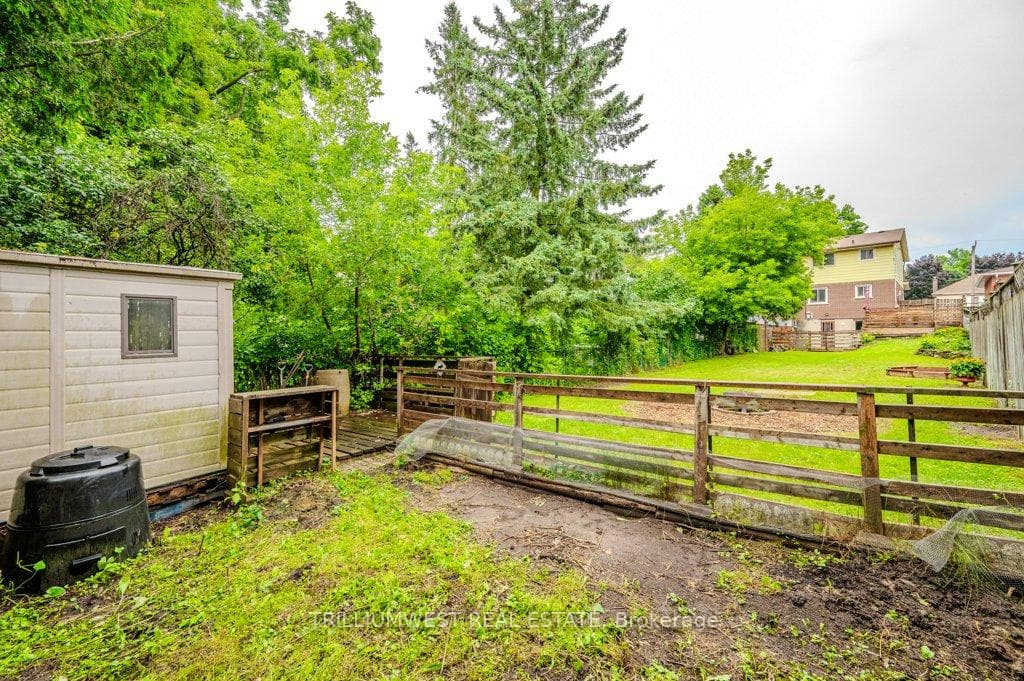 46 Clarence Street photo 39