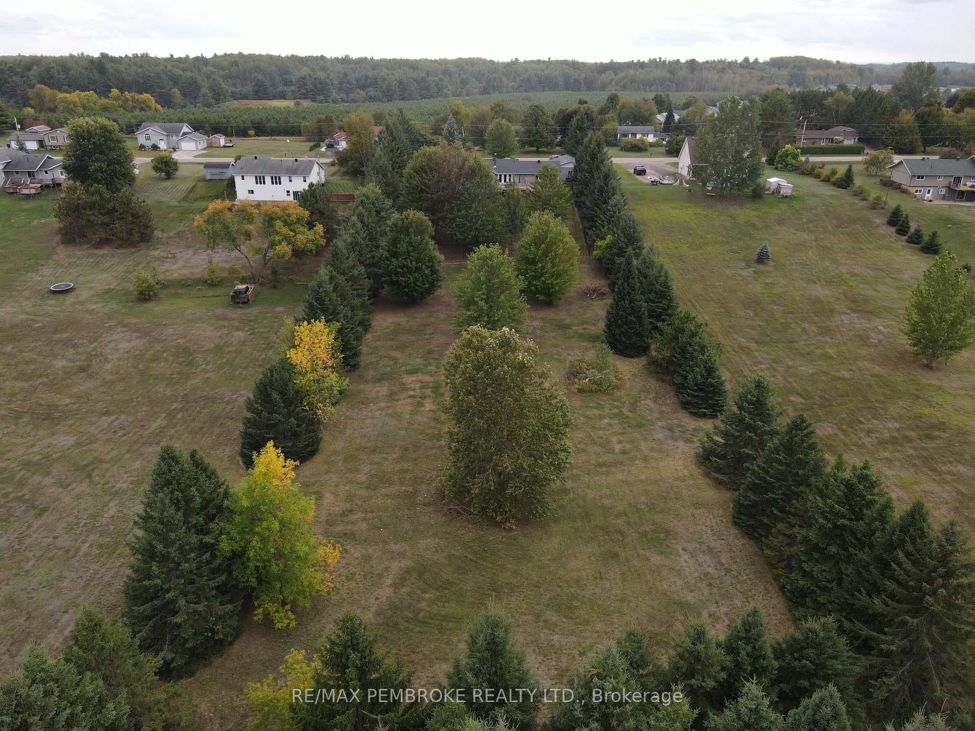 56 Robertson Drive photo 7