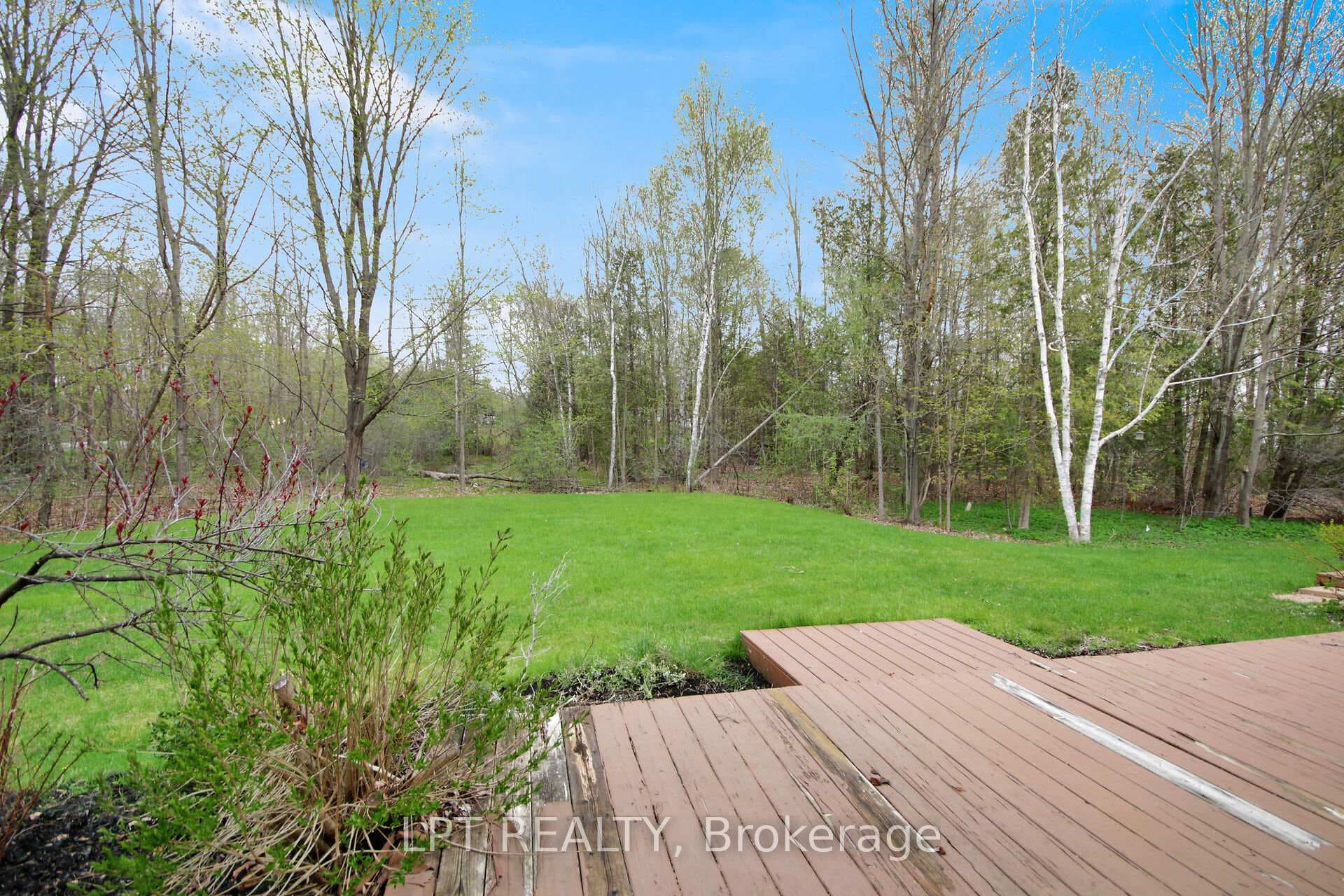 5719 Stuewe Drive photo 4